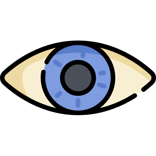 Vision icon
