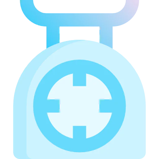 Scale icon