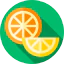 Citrus fruits biểu tượng 64x64