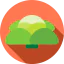 Salad icon 64x64