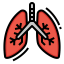 Lungs icon 64x64