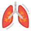 Lungs icône 64x64