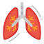 Lungs 图标 64x64