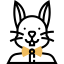 Rabbit icon 64x64