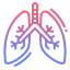 Lungs icon 64x64