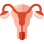Uterus icon 64x64