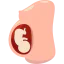 Pregnancy icon 64x64