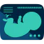 Ultrasound icon 64x64