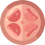 Uterus icon 64x64