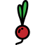 Radish ícono 64x64