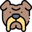 Bulldog 图标 64x64