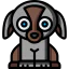 Puppy 图标 64x64