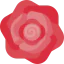 Flower icon 64x64