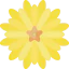 Flower icon 64x64