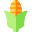 Corn 图标 64x64