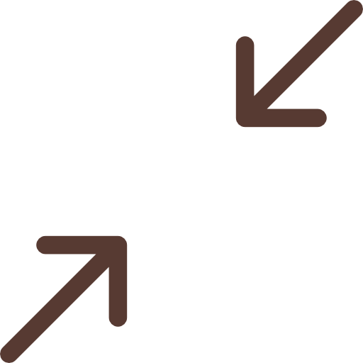 Maximize icon