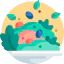 Salad icon 64x64