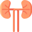Kidney icon 64x64
