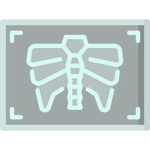 X rays icon