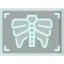 X rays icon 64x64