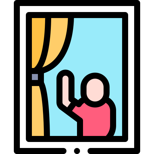 Window icon