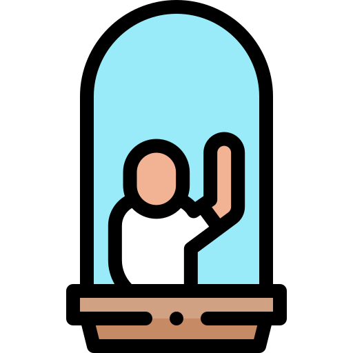 Window icon