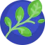Branch 图标 64x64
