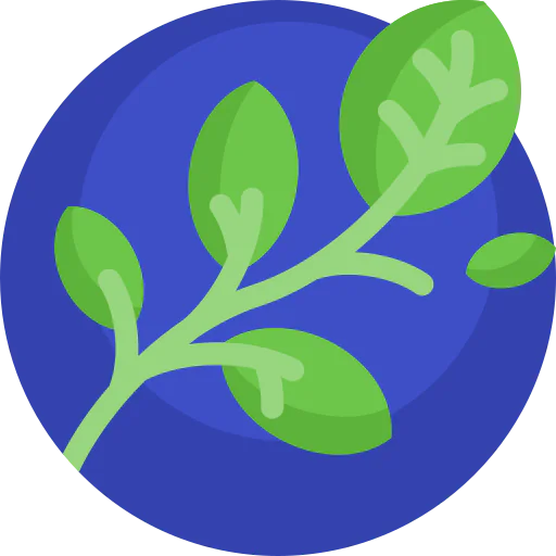 Branch icon