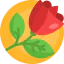 Rose icon 64x64