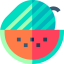 Watermelon icon 64x64