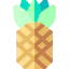 Pineapple icon 64x64