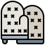 Mitten icon 64x64