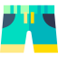 Swimming trunks icon 64x64
