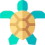 Turtle icon 64x64