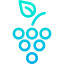 Grapes 图标 64x64