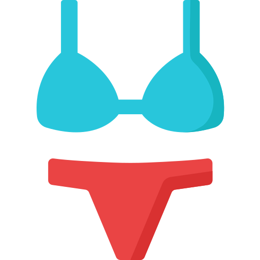 Bra icon