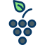 Grapes 图标 64x64
