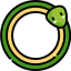 Ouroboros 图标 64x64