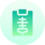 X ray icon 64x64