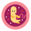 Embryo 图标 64x64