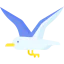 Seagull biểu tượng 64x64