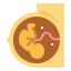 Maternity 图标 64x64