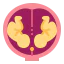 Twins 图标 64x64