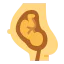 Pregnant 图标 64x64