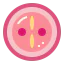 Zygote 图标 64x64