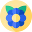 Flower 图标 64x64