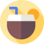 Coconut icon 64x64