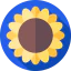 Sunflower 图标 64x64