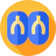 Flip flops 图标 64x64