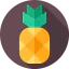 Pineapple 图标 64x64
